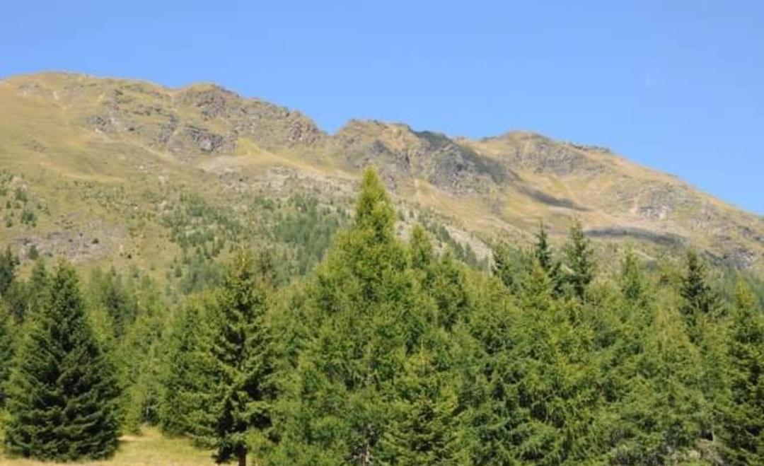 Rangersdorfer Huette Βίλα Witschdorf Εξωτερικό φωτογραφία